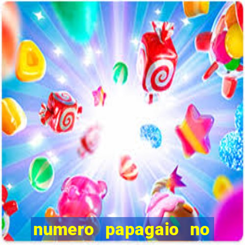 numero papagaio no jogo do bicho